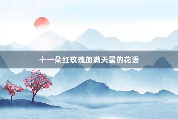 十一朵红玫瑰加满天星的花语