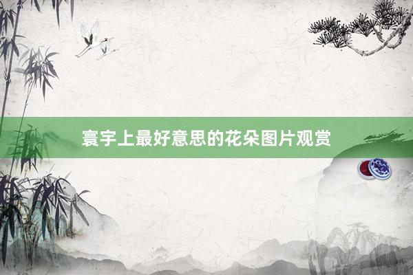 寰宇上最好意思的花朵图片观赏